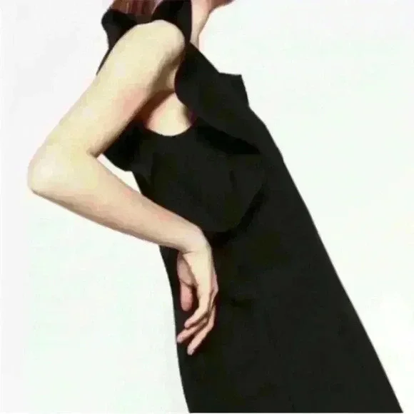 Zara Ruffle Sleeve Dress in Black XS - Picture 2 of 4